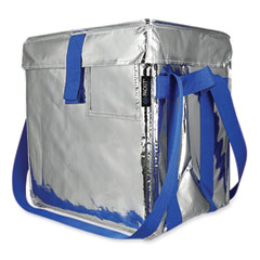 PackIt® Fresh Eco Freeze Tote, 13.5 x 9 x 13, Silver/Blue, 4/Carton
