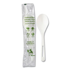 TPLA Compostable Cutlery, Soup Spoon, White, 750/Carton