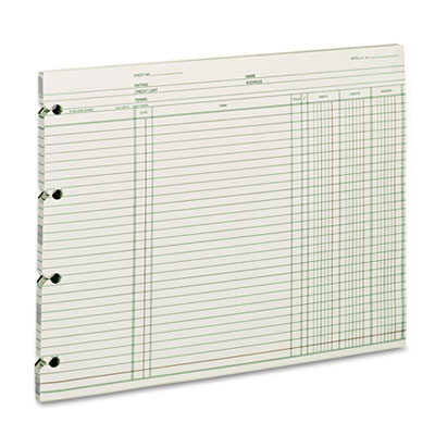Accounting Sheets, 9.25 x 11.88, Green, Loose Sheet, 100/Pack WLJGN2D