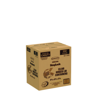 StayLock Clear Hinged Lid Containers, Oblong, 6.81 x 9.4 x 3.1, Plastic, 125/Bag, 2/Carton