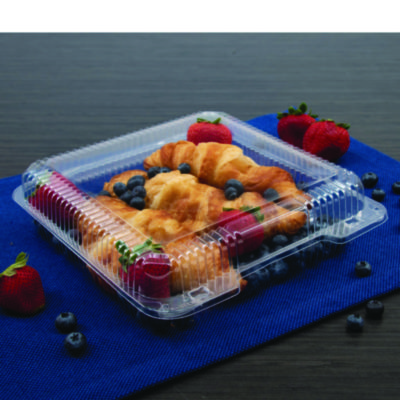 CONTAINER,PLAS,H/L,LG,CLR