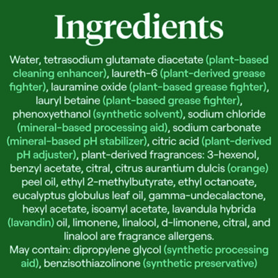 Foaming Dish Spray, Mandarin Orange Scent, 16 oz Bottle