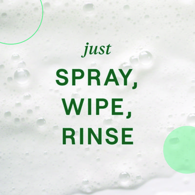 Foaming Dish Spray, Mandarin Orange Scent, 16 oz Bottle