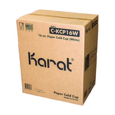 Double Poly Paper Cold Cups, 16 oz, White, 1,000/Carton