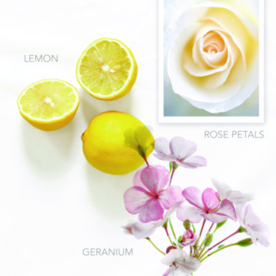 MOISTENER,PURE,CONDTNR,12