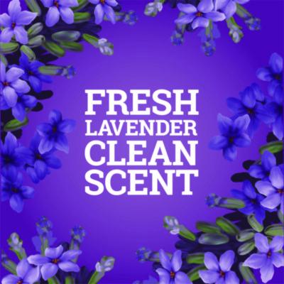 CloroxPro Multi-Surface Cleaner Concentrated, Lavender Clean Scent, 80 oz Bottle