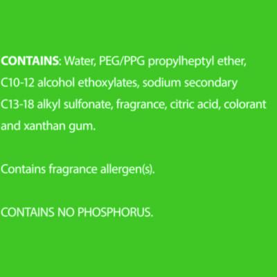 Multi-Surface Cleaner Disinfectant Concentrated, Pine Scent, 40 oz Bottle, 8/Carton