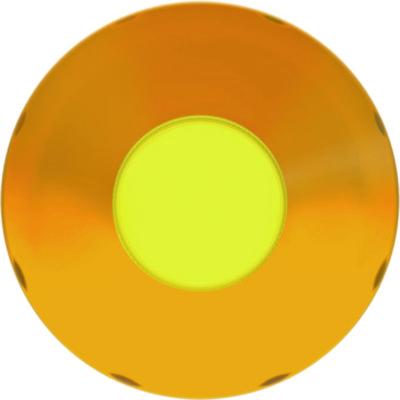 Multi-Surface Cleaner Disinfectant Concentrated, Pine Scent, 40 oz Bottle, 8/Carton