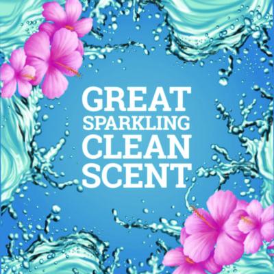 CloroxPro Multi-Surface Cleaner Concentrated, Sparkling Wave Scent, 80 oz Bottle