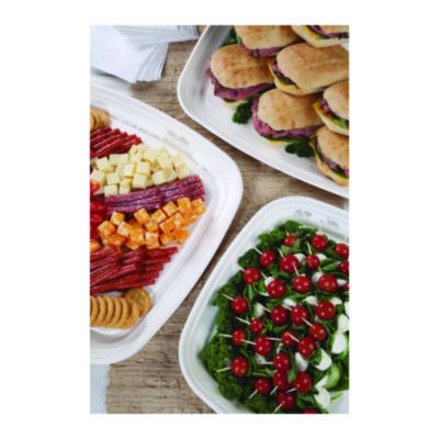 TRAY,VNGRD,REGLIA,14