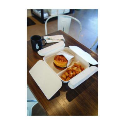 CONTAINER,TKOT,VG III,300