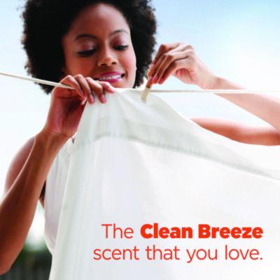 PODS Laundry Detergent, HE Compatible, Clean Breeze, 36 oz Tub, 42 Pacs/Tub, 4 Tubs/Carton