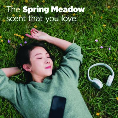 PODS Laundry Detergent, HE Compatible, Spring Meadow, 66 oz Tub, 76 Pacs/Tub, 4 Tubs/Carton