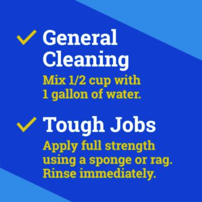 CloroxPro Fraganzia Multi-Purpose Cleaner, Lavender Meadows Scent, 175 oz Bottle, 3/Carton