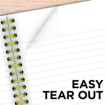 Jewel Tone Notebook, Gold Twin-Wire, 1-Subject, Wide/Legal Rule, Purple Cover, (80) 9.5 x 7.25 Sheets