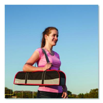 Champion Sports Deluxe Tether Ball Set, Tetherball/102" Cord/(4) 24" Telescoping Poles/Carry Bag/Pump with Needle (CSIDTBSET) CSIDTBSET