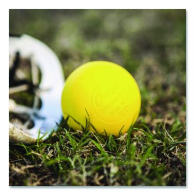 Champion Sports Bucket of Lacrosse Balls, Regulation Size, Yellow, 36 Balls/Bucket (CSILBYN36) CSILBYN36