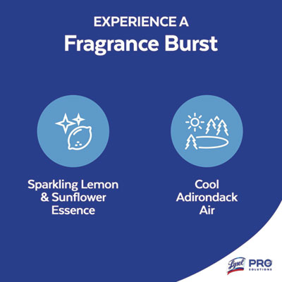 Power Clean Concentrated Multi-Surface Cleaner, Cool Adirondack, 28 oz Pour Bottle, 9/Carton