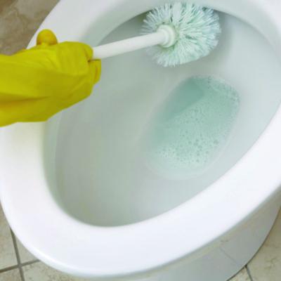 CLEANER,BTHROOM,ALL PUR,S