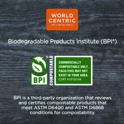 TPLA Compostable Cutlery, Soup Spoon, Plastic, White, 1,000/Carton