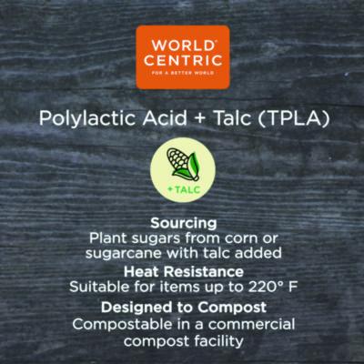 TPLA Compostable Cutlery, Soup Spoon, Plastic, White, 750/Carton