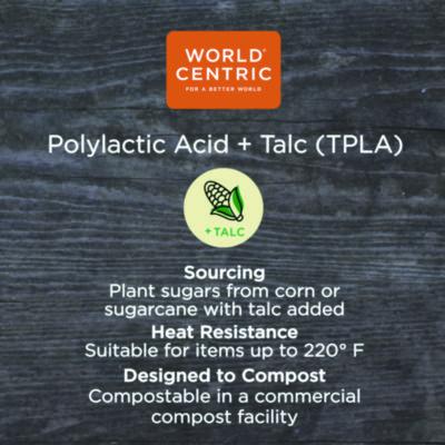 TPLA Compostable Cutlery, Asian Soup Spoon, Plastic, White, 500/Carton