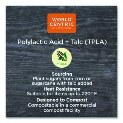 TPLA Compostable Cutlery, Spork, Plastic, White, 750/Carton