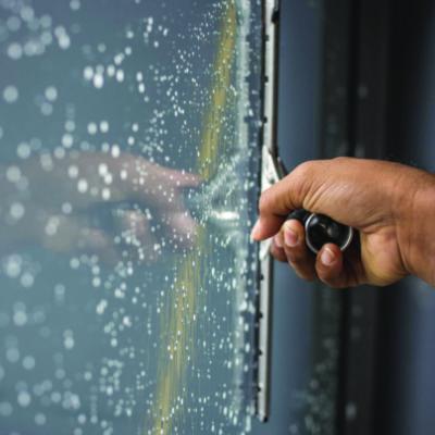 CLEANER,BUGS,SOIL,GLASS,S