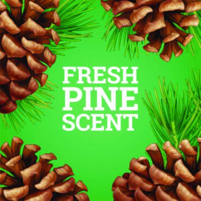 CloroxPro Multi-Surface Cleaner Disinfectant Concentrated, Original Pine Scent, 80 oz Bottle, 3/Carton