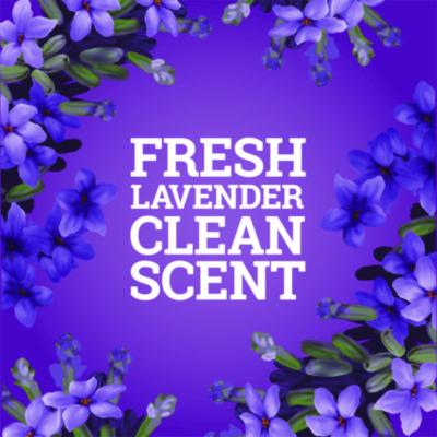 CloroxPro Multi-Surface Cleaner Concentrated, Lavender Clean Scent, 80 oz Bottle, 3/Carton