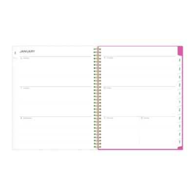 Fly By Frosted Weekly/Monthly Planner, Butterflies Artwork, 11 x 8.5, Blush/Pink Cover, 12-Month (Jan to Dec): 2025