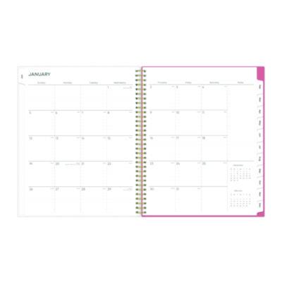 Fly By Frosted Weekly/Monthly Planner, Butterflies Artwork, 11 x 8.5, Blush/Pink Cover, 12-Month (Jan to Dec): 2025