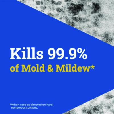 CloroxPro Disinfecting Instant Mold and Mildew Remover, 32 oz Smart Tube Spray, 9/Carton