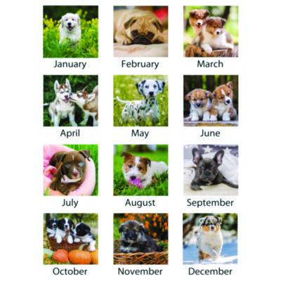 Puppies Monthly Desk Pad Calendar, Puppies Photography, 22 x 17, White Sheets, Clear Corners, 12-Month (Jan to Dec): 2025