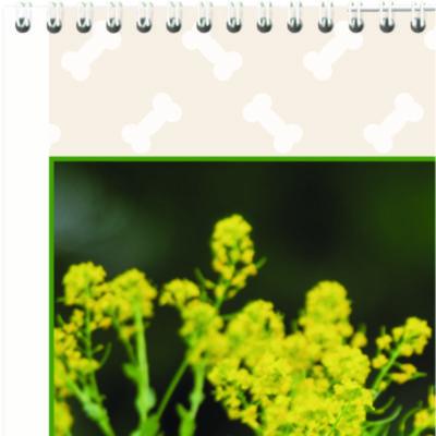 Puppies Monthly Wall Calendar, Puppies Photography, 15.5 x 22.75, White/Multicolor Sheets, 12-Month (Jan to Dec): 2025