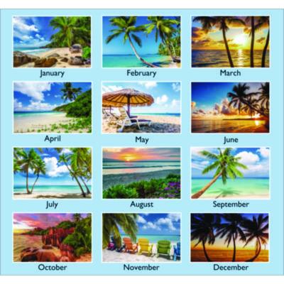 Tropical Escape Wall Calendar, Tropical Escape Photography, 15 x 12, Pale Blue/Multicolor Sheets, 12-Month (Jan to Dec): 2025