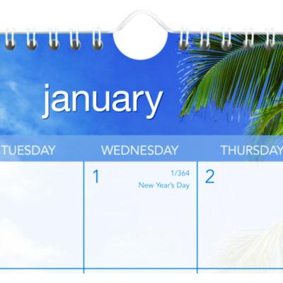 Tropical Escape Wall Calendar, Tropical Escape Photography, 15 x 12, Pale Blue/Multicolor Sheets, 12-Month (Jan to Dec): 2025