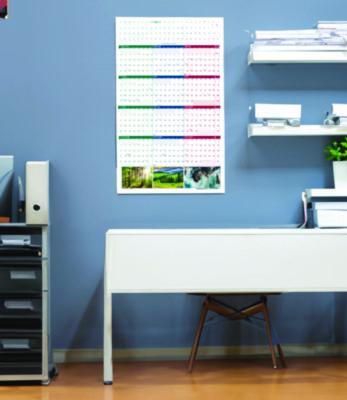 Earthscapes Recycled Reversible/Erasable Yearly Wall Calendar, Nature Photos, 32 x 48, White Sheets, 12-Month (Jan-Dec): 2025