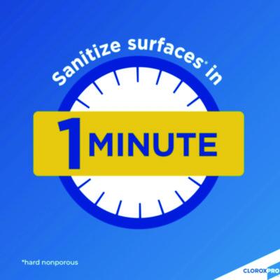 Anywhere Daily Disinfectant and Sanitizer, 32 oz Spray Bottle, 12/Carton