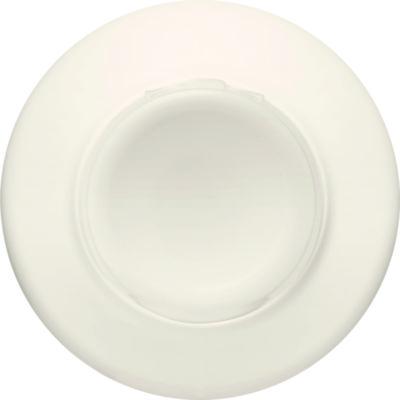 Bleach Cream Cleanser, Fresh Scent, 32 oz Bottle, 8/Carton