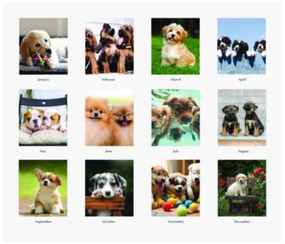 Earthscapes Recycled Desk Tent Monthly Calendar, Puppies Photography, 8.5 x 4.5, White Sheets, 12-Month (Jan to Dec): 2025