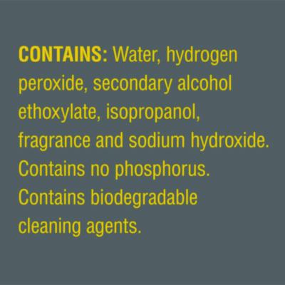 CloroxPro Urine Remover for Stains and Odors, 32 oz Pull top Bottle, 6/Carton