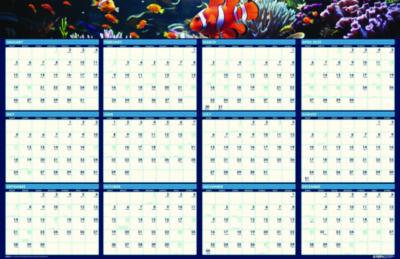Earthscapes Recycled Reversible/Erasable Yearly Wall Calendar, Sea Life Photos, 24 x 37, White Sheets, 12-Month(Jan-Dec):2025