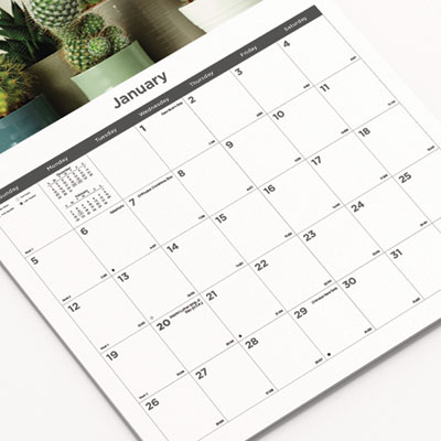12-Month Wall Calendar, Succulent Plants Photography, 12 x 17, White/Multicolor Sheets, 12-Month (Jan to Dec): 2025
