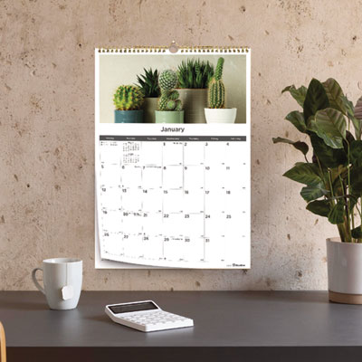12-Month Wall Calendar, Succulent Plants Photography, 12 x 17, White/Multicolor Sheets, 12-Month (Jan to Dec): 2025