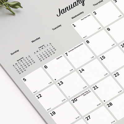 Romantic Wall Calendar, Floral Photography, 12 x 17, White/Multicolor Sheets, 12-Month (Jan to Dec): 2025