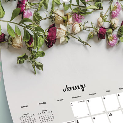 Romantic Wall Calendar, Floral Photography, 12 x 17, White/Multicolor Sheets, 12-Month (Jan to Dec): 2025