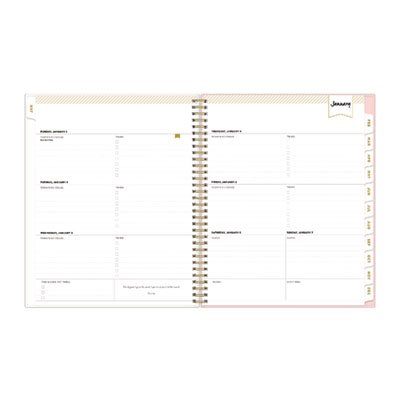 Day Designer Coming Up Roses Create-Your-Own Cover Weekly/Monthly Planner, Roses Artwork, 11 x 8.5, 12-Month (Jan-Dec): 2025