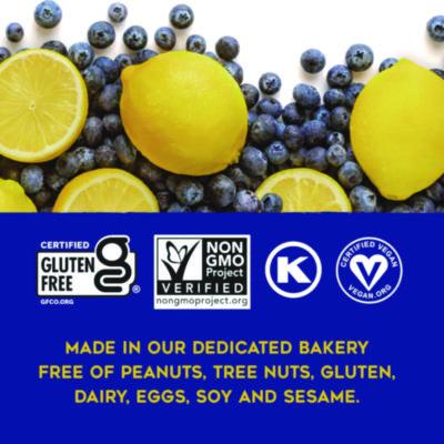 Warm 'N Chewey Gluten-Free Blueberry/Lemon Seed and Oat Bar, 1.6 oz Bar, 9/Box