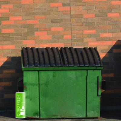 DEORDORANT,DUMPSTER,12,N